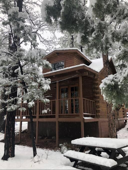 Forest Cabin 2 Birds Nest Payson Exterior photo